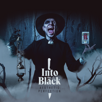 Into the Black // Vinyl [SIGNED]